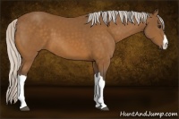 Horse Color:Silver Buckskin 