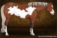 Horse Color:Silver Brown Frame 