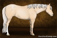 Horse Color:Silver Buckskin Pearl 