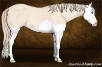 Horse Color:Perlino Splash 