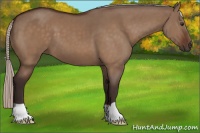 Horse Color:Silver Brown Dun 