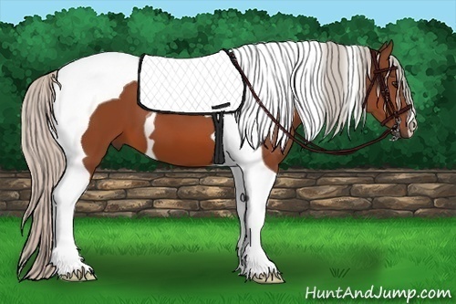 Horse Color:Silver Bay Tobiano 