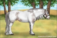 Horse Color:White Spotted Brown Tobiano Frame Blanket Rabicano 