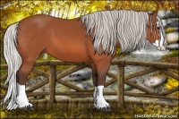 Horse Color:Silver Bay Splash 