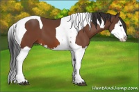 Horse Color:Bay Splash Tobiano 