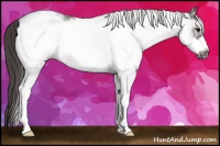 Horse Color:White Spotted Smoky Black Frame Rabicano 