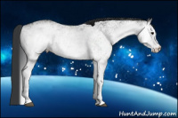 Horse Color:White Spotted Black 