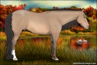Horse Color:Amber Champagne 