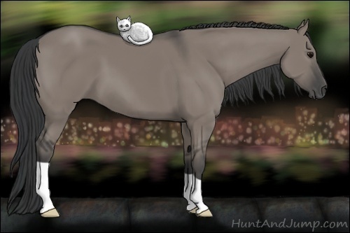 Horse Color: Grullo 