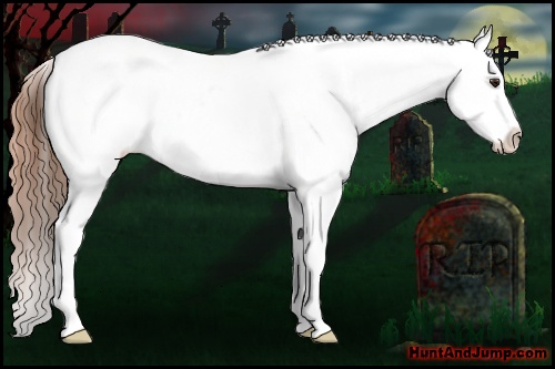 Horse Color: White Spotted Bay Dun Blanket Rabicano 