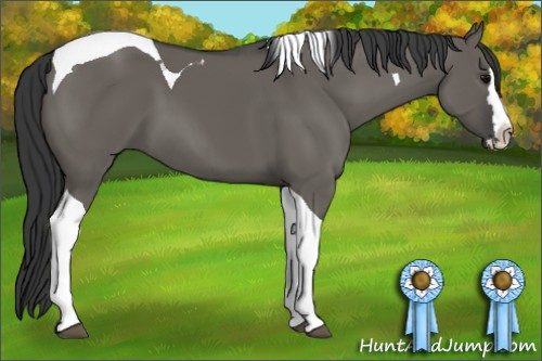 Horse Color: Grullo Splash Tobiano 
