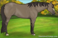 Horse Color:Smoky Grullo 