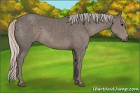 Horse Color:Silver Black 