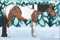 Horse Color:Bay Ice Tobiano