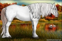 Horse Color:Brown Dun Snowcap 