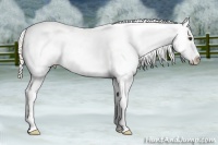 Horse Color:Silver Buckskin Dun Near Fewspot 
