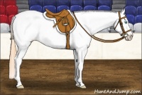 Horse Color:White Spotted Sable Champagne Pearl Appaloosa 