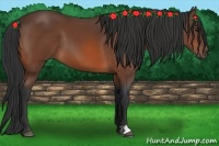 Horse Color:Brown 