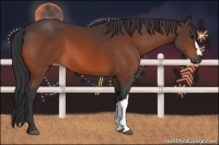 Horse Color:Brown 