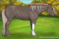 Horse Color:Silver Black 