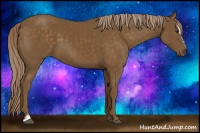 Horse Color:Chocolate Palomino Sabino 