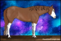 Horse Color:Chestnut Sabino Splash 