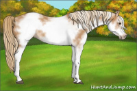 Horse Color:White Spotted Chestnut Frame