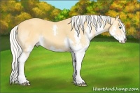 Horse Color:Silver Amber Cream Champagne Splash 