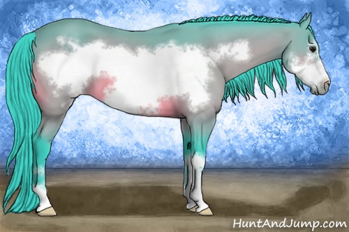 Horse Color: Watercolor Buckskin Sabino Frame 