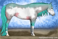 Horse Color:Watercolor Buckskin Sabino Frame 