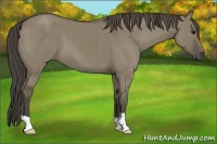 Horse Color:Smoky Grullo