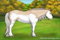 Horse Color:Silver Classic Champagne Dun Splash Frame 