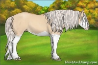 Horse Color:Silver Classic Champagne Dun Splash 