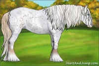 Horse Color:Red Roan Splash Near Leopard 
