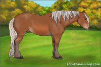 Horse Color:Silver Bay 