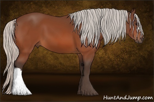 Horse Color: Silver Bay 