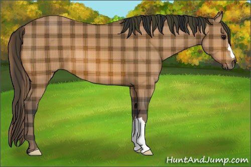 Horse Color: Plaid  Bay 