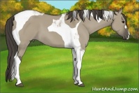 Horse Color:Smoky Grullo Tobiano 