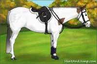 Horse Color:Bay Splash Tobiano Blanket Rabicano 