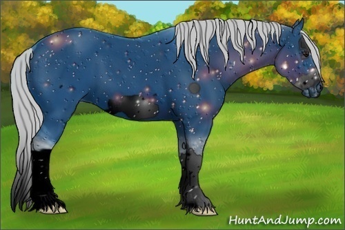 Horse Color: ERROR: UNKNOWN ANOMALY
