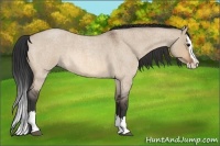 Horse Color:Bay Roan Dun Splash 