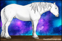 Horse Color:Cremello Roan Dun 