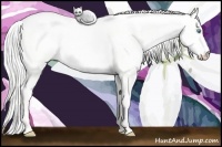 Horse Color:Silver Perlino Dun 