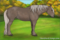 Horse Color:Silver Black 