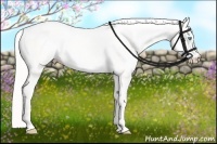Horse Color:Cremello Dun 