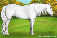 Horse Color:Silver Perlino Dun 