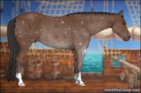 Horse Color:ERROR: UNKNOWN ANOMALY
