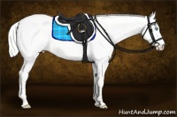 Horse Color:Silver Perlino Dun 