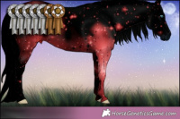 Horse Color:ERROR: UNKNOWN ANOMALY