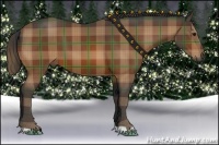 Horse Color:Plaid Bay